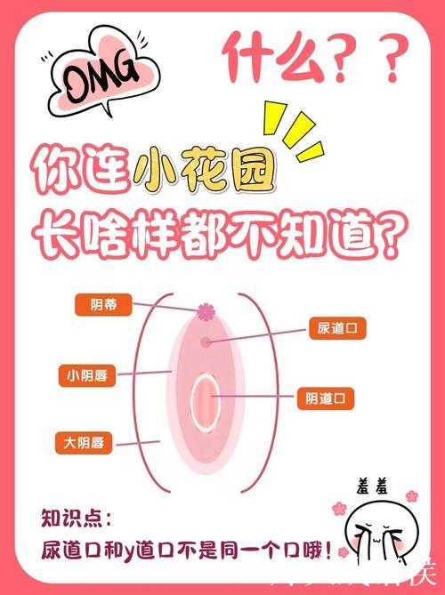 揭秘微密圈626617：圈内那些你不知道的秘密